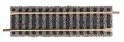 Fleischmann 